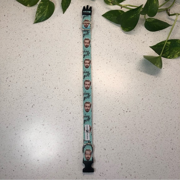 Dog collar: Ryan Gosling ‘Hey Girl’ novelty dog collar - fits 10”- 16” neck - Picture 5 of 14